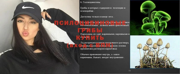 шишки Волгодонск