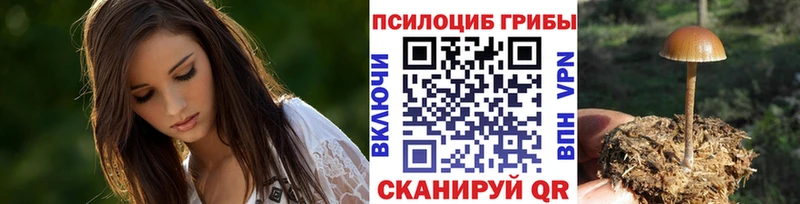 что такое   Адыгейск  Псилоцибиновые грибы Psilocybe 