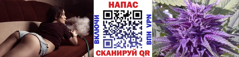Бошки марихуана марихуана  купить  цена  Адыгейск 
